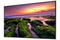 SAMSUNG (QBB) PRO DISPLAY, 50"UHD, 350NITS, HDMI(2), LAN, WIFI, SPKR, 16/7 USAGE, 3Y