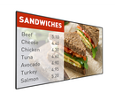 Philips 42BDL5055P - 42" Digital Signage Display