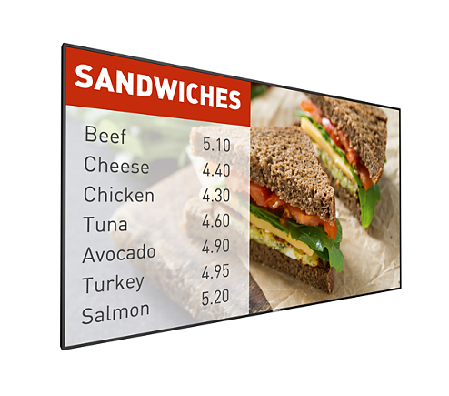 Philips 49BDL5055P - 49" Digital Signage Display