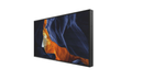 Philips 55" 55BDL3202H H-line 4K 2500NIT HIGH BRIGHT DISPLAY